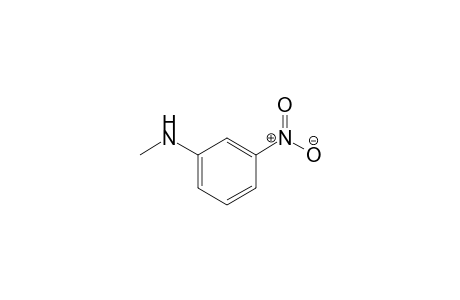 N-Methyl-N-(3-nitrophenyl)amine