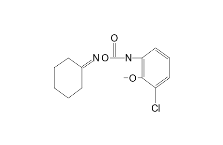 cyclohexanone, O-[(3-chloro-2-methoxyphenyl)carbamoyl]oxime