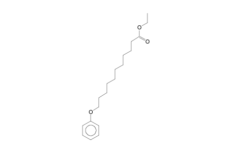 11-Phenoxyundecanoic acid, ethy L ester