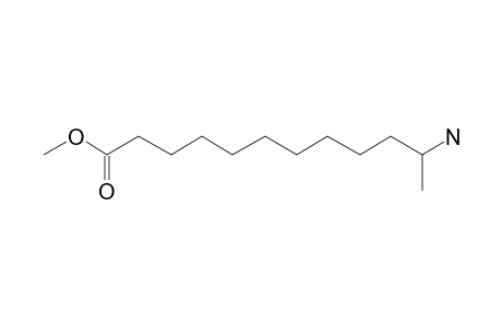 Dodecanoic acid, 11-amino-, methyl ester