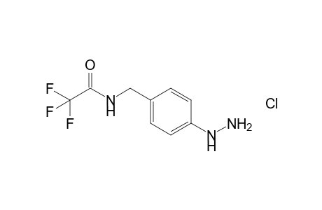 2,2,2-Trifluoro-N-(4-hydrazinobenzyl)acetamide Hydrochloride