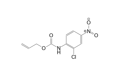 allyl 2-chloro-4-nitrophenylcarbamate