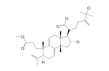 PORICOIC-ACID-DM;16-ALPHA,25-DIHYDROXY-3,4-SECO-LANOSTA-4(28),7,9(11),24(31)-TETRAEN-3,21-DIOIC-ACID-3-METHYLESTER