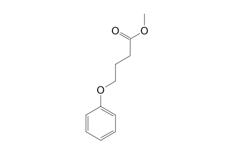 Methyl 4-phenoxybutanoate