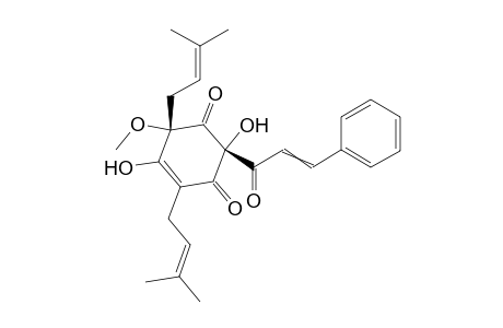 Microfolian