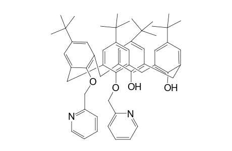 syn-proximal-5,11,17,23-Tetra-tert-butyl-25,26-bis[(2-pyridylmethyl)oxy]-27,28-dihydroxycalix[4]arene