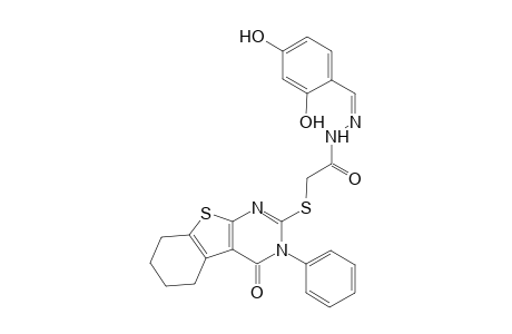 N'-[(Z)-(2,4-dihydroxyphenyl)methylidene]-2-[(4-oxo-3-phenyl-3,4,5,6,7,8-hexahydro[1]benzothieno[2,3-d]pyrimidin-2-yl)sulfanyl]acetohydrazide