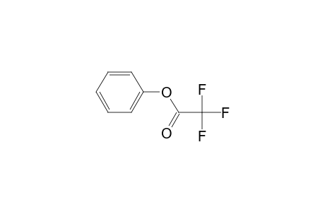 Phenyl trifluoroacetate