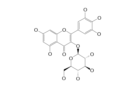 5,7,3',4',5'-PEMTAHYDROXYFLAVONE-3-O-BETA-GLUCOPYRANOSYL