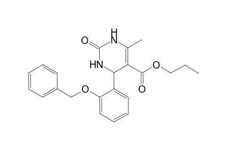 Propyl 4-[2-(benzyloxy)phenyl]-6-methyl-2-oxo-1,2,3,4-tetrahydro-5-pyrimidinecarboxylate