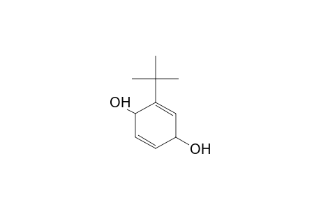 2-tert-BUTYL[1,4]BENZOQUINONE