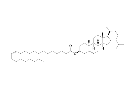 Cholesterol cis-13-docosenoate