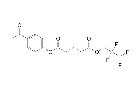 Glutaric acid, 2,2,3,3-tetrafluoropropyl 4-acetylphenyl ester