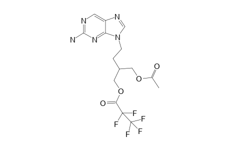 Famciclovir artifact PFP