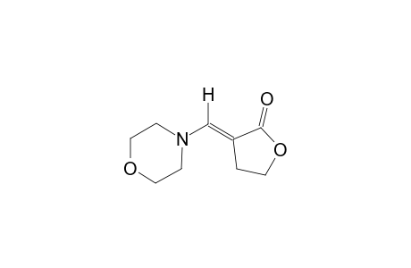 (E)-dihydro-3-(morpholinomethylene)-2(3H)-furanone