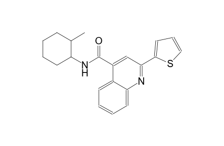 4-quinolinecarboxamide, N-(2-methylcyclohexyl)-2-(2-thienyl)-