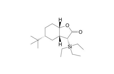 (1R,3R,6S,9R)-3-tert-Butyl-9-(triethylsilyl)-7-oxabicyclo[4.3.0]nonan-8-one