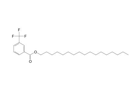 3-Trifluoromethylbenzoic acid, heptadecyl ester