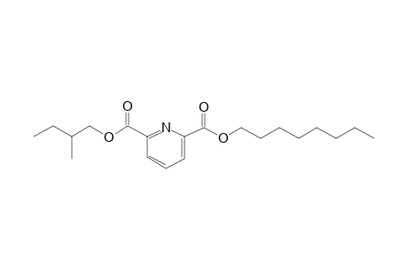 2,6-Pyridinedicarboxylic acid, 2-methylbutyl octyl ester