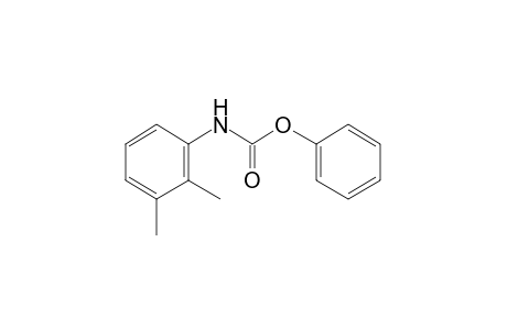 2,3-dimethylcarbanilic acid, phenyl ester