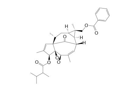 17-BENZOYLOXY-3-O-(2,3-DIMETHYLBUTANOYL)-20-DEOXYINGENOL