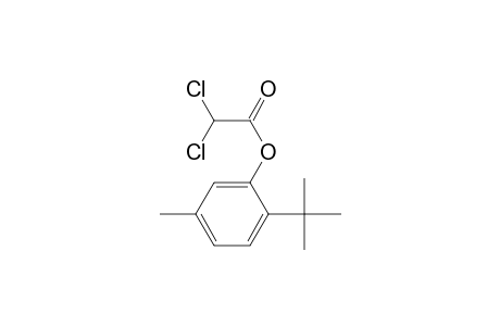 2-Tert-butyl-5-methylphenyl dichloroacetate