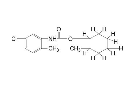 5-chloro-2-methylcarbanilic acid, 2-methylcyclohexyl ester
