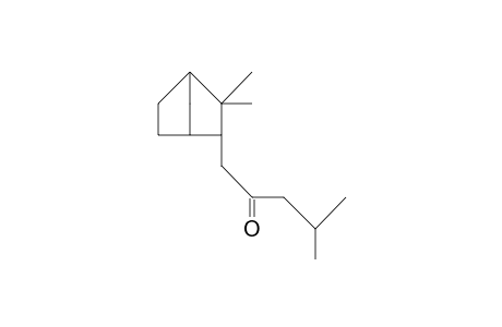 2,2-Dimethyl-3-endo-(4-methyl-2-oxopentyl)bicyclo[2.2.1]heptane