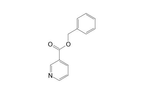 Nicotinic acid benzyl ester