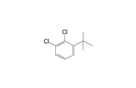 1-Tert-butyl-2,3-bis(chloranyl)benzene