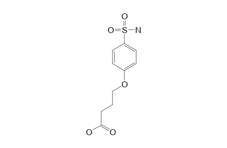 4-(p-SULFAMOYLPHENOXY)BUTYRIC ACID