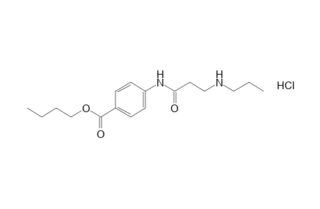 p-[3-(propylamino)propionamido]benzoic acid, butyl ester hydrochloride