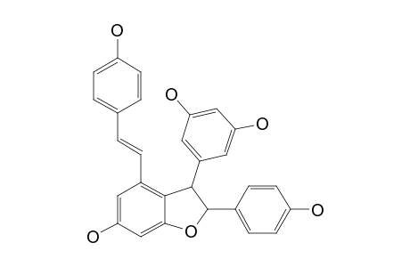 EPSYLON-VINIFERIN