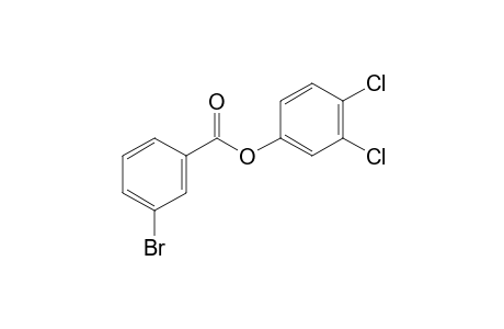 3-Bromobenzoic acid, 3,4-dichlorophenyl ester