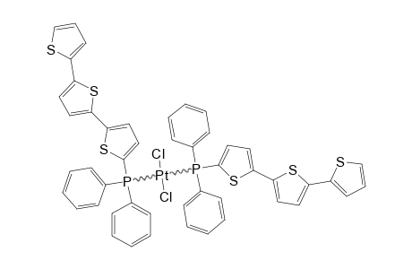 PT-(PT3)2-CL2