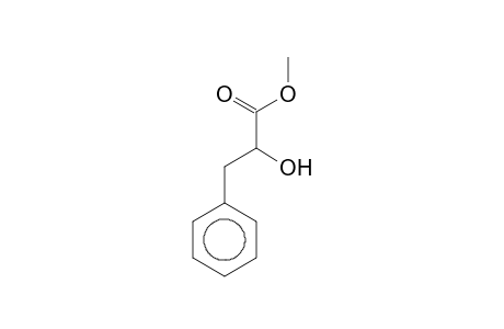 PAPULINE