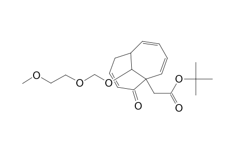 6-(1-tert-butoxy-1-oxoeth-2-yl)-7-oxo-11-[(2-methoxyethoxy)methoxy]bicyclo[4.4.1]undeca-2,4,8-triene