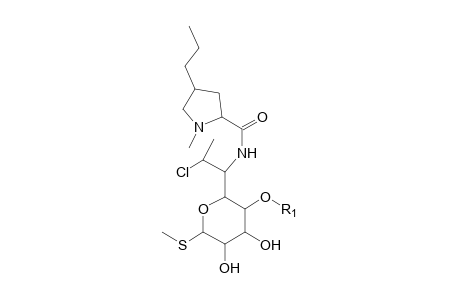 Clindamycine-M (glucuronide) isomer 1 MS2