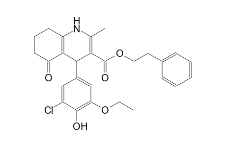 3-quinolinecarboxylic acid, 4-(3-chloro-5-ethoxy-4-hydroxyphenyl)-1,4,5,6,7,8-hexahydro-2-methyl-5-oxo-, 2-phenylethyl ester