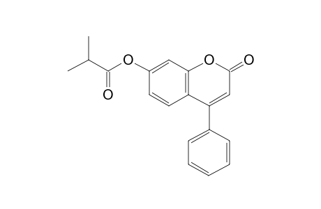 7-Hydroxy-4-phenylcoumarin, 2-methylpropionate