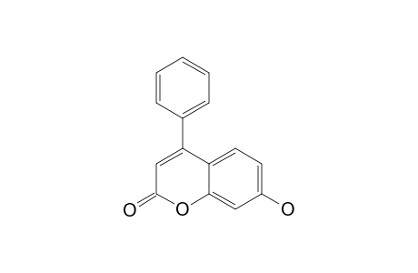 4-phenylumbelliferone