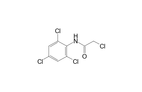 2,2',4',6'-tetrachloroacetanilide
