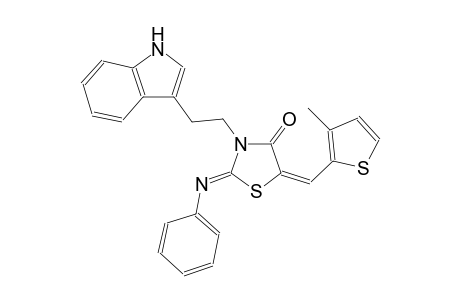 (2Z,5E)-3-[2-(1H-indol-3-yl)ethyl]-5-[(3-methyl-2-thienyl)methylene]-2-(phenylimino)-1,3-thiazolidin-4-one