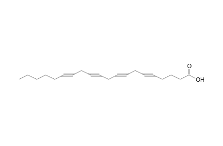 5,8,11,14-Eicosatetraynoic acid