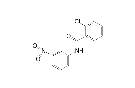 2-chloro-3'-nitrobenzanilide
