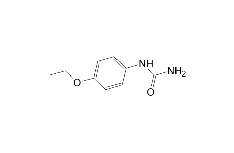 (p-ethoxyphenyl)urea