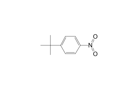 1-tert-Butyl-4-nitrobenzene