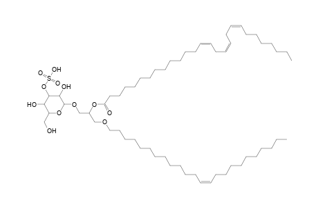 SMGDG O-24:1_28:3