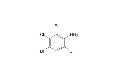 2,4-dibromo-3,6-dichloroaniline