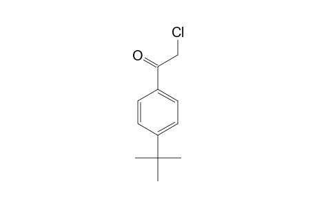 2-Chloro-4'-tert-butylacetophenone